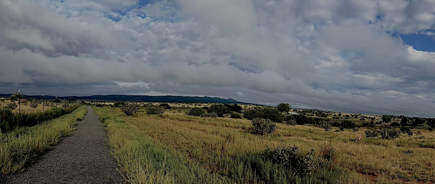 Elderware: Story Work and Aging in the Mid-21st Century